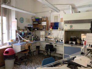 laboratorio dell' odontotecnico in sede